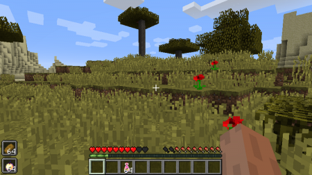  Quick Consume  Minecraft 1.10.2