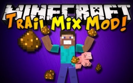  Trail Mix  Minecraft 1.8