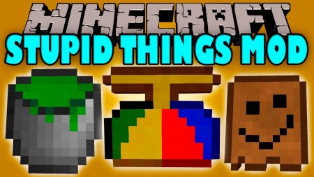  Stupid Things  Minecraft 1.11.2