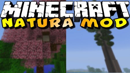  Natura  Minecraft 1.11.2