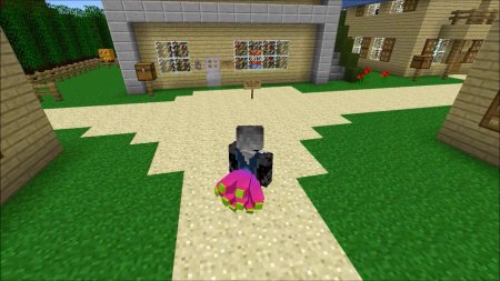  Tails  Minecraft 1.11.2