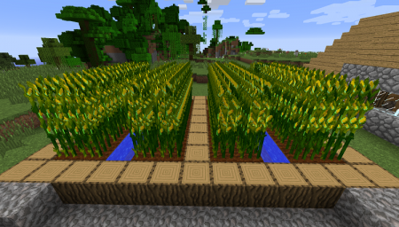  Simple Corn  Minecraft 1.10.2