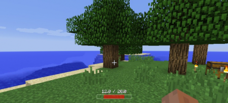  Health Bar  Minecraft 1.11.2