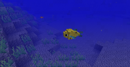  Just a Few Fish  Minecraft 1.11.2