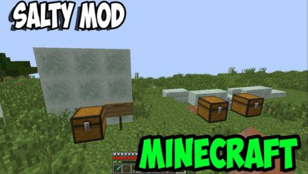  Salty  Minecraft 1.11.2