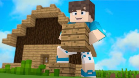  WorldEdit  Minecraft 1.12.1