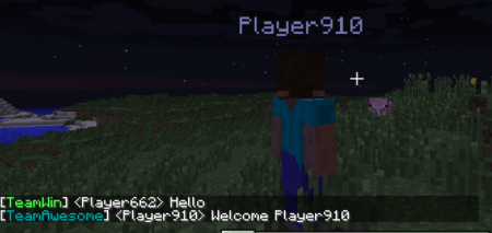  Team Up  Minecraft 1.12.1