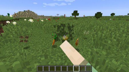  Seed Drop  Minecraft 1.11.2