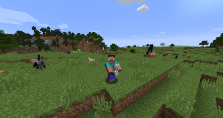  Carry On  Minecraft 1.11.2