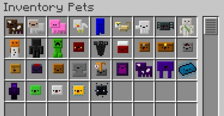  Inventory Pets  Minecraft 1.12.2