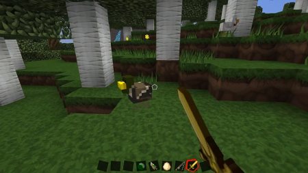  Duck Craft  Minecraft 1.12.2