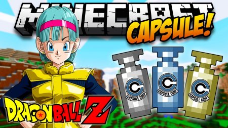  Capsule  Minecraft 1.12