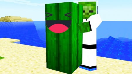  Huggable Cactuses  Minecraft 1.12