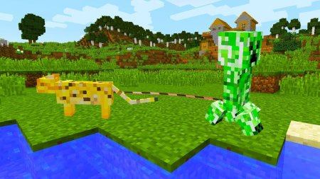  Entity Spring  Minecraft 1.12