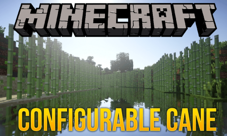  Configurable Cane  Minecraft 1.12.2