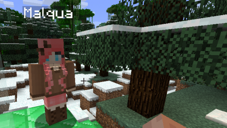  iPixelis Gender  Minecraft 1.11.2