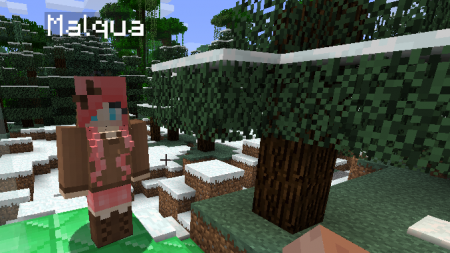 Скачать iPixeli’s Gender для Minecraft 1.12.2