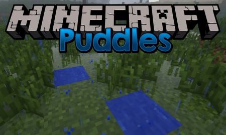  Puddles  Minecraft 1.12