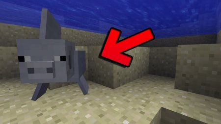  Merpig  Minecraft 1.13.2