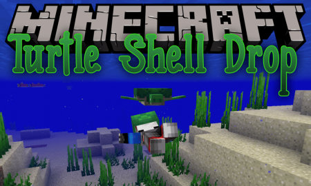  Turtle Shell Drop  Minecraft 1.13