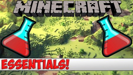  Essentials  Minecraft 1.12.2