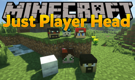  Just Player Head  Minecraft 1.12.2