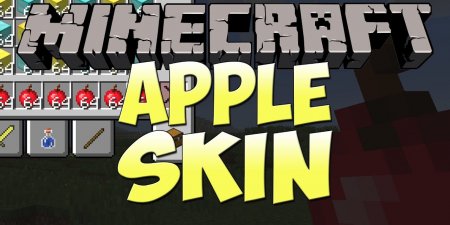  AppleSkin  Minecraft 1.13.2