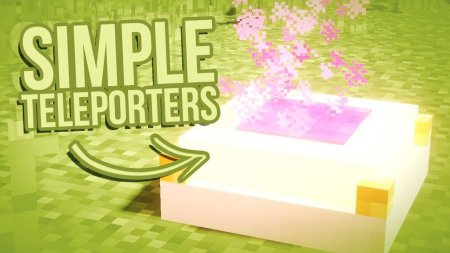  Simple Teleporters  Minecraft 1.14.1