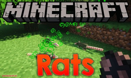  Rats  Minecraft 1.12