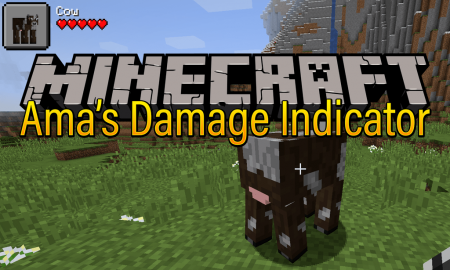  Amas Damage Indicator  Minecraft 1.13.2