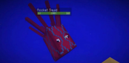  Rocket Squids  Minecraft 1.14.4