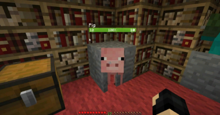  Neat  Minecraft 1.14.4