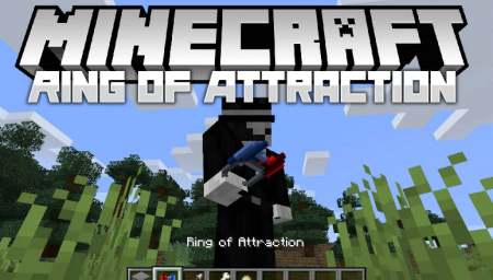  Ring of Attraction  Minecraft 1.14