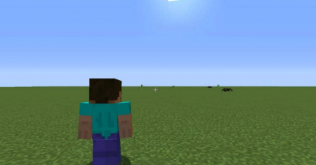  Shoulder Surfing Reloaded  Minecraft 1.14