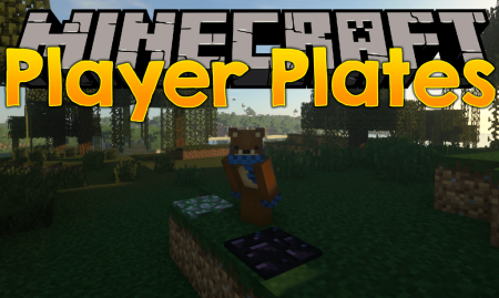  Player Plates  Minecraft 1.14.2