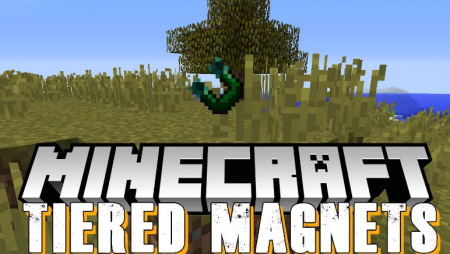  Tiered Magnets  Minecraft 1.12