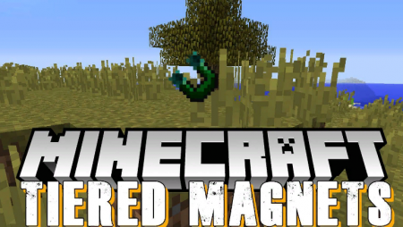  Tiered Magnets  Minecraft 1.12.2