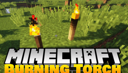  Burning Torches  Minecraft 1.14.3