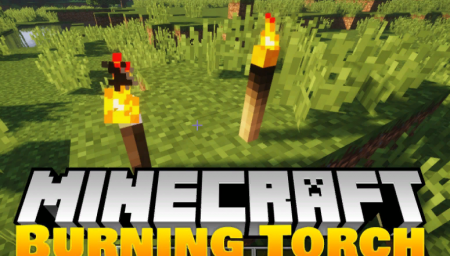  Burning Torches  Minecraft 1.14.4