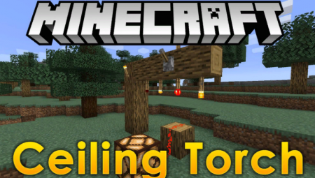  Ceiling Torch  Minecraft 1.14