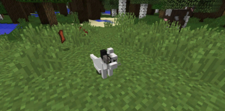  Simply Cats  Minecraft 1.12