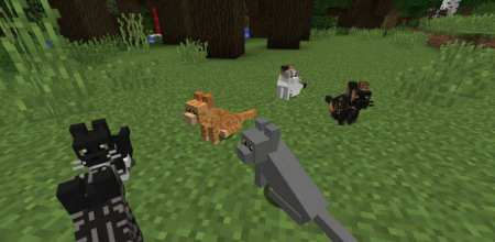  Simply Cats  Minecraft 1.12