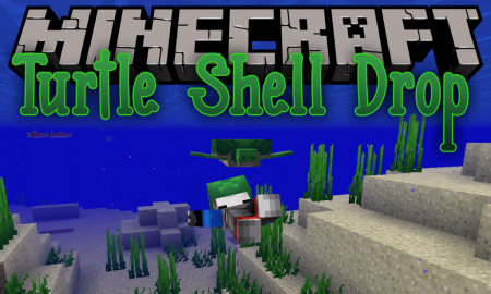  Turtle Shell Drop  Minecraft 1.14