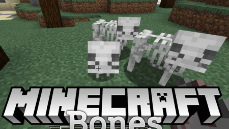  Bones  Minecraft 1.14