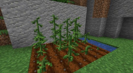  Druidcraft  Minecraft 1.14