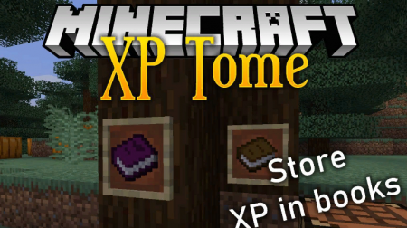  XP Tome  Minecraft 1.12.2