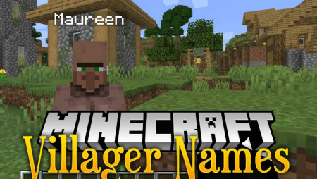 Villager Names  Minecraft 1.13.2