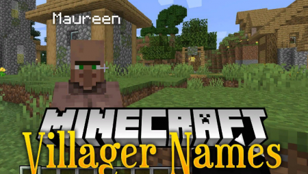  Villager Names  Minecraft 1.14.4