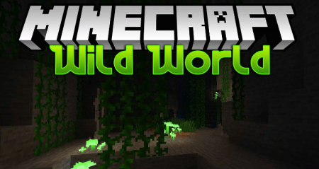  Wild World  Minecraft 1.14