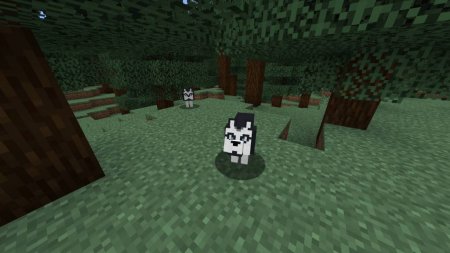  More Dogs  Minecraft 1.14